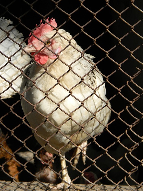 28圈：[高尔夫]波多黎各公开赛威利普斯领先 熊瑾菘T5袁也淳T54.